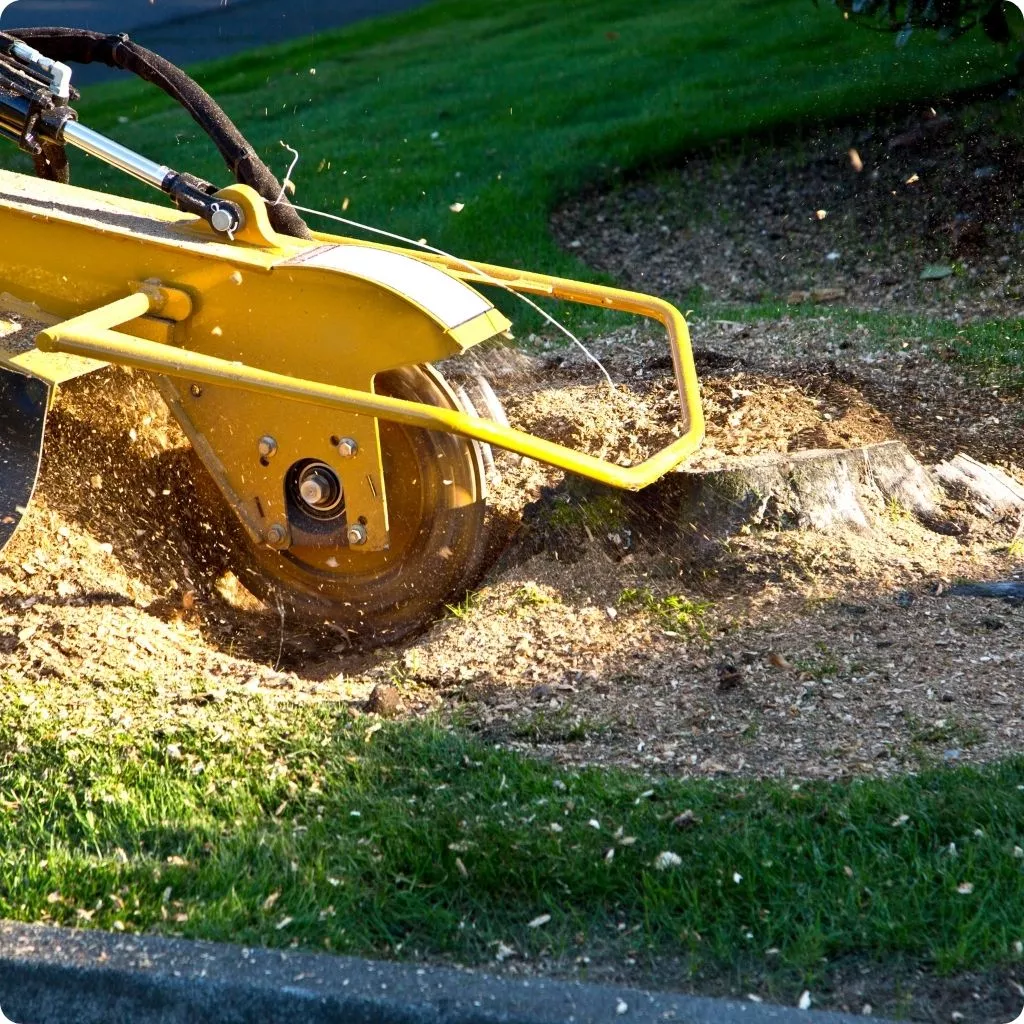 Stump Grinding Done Right