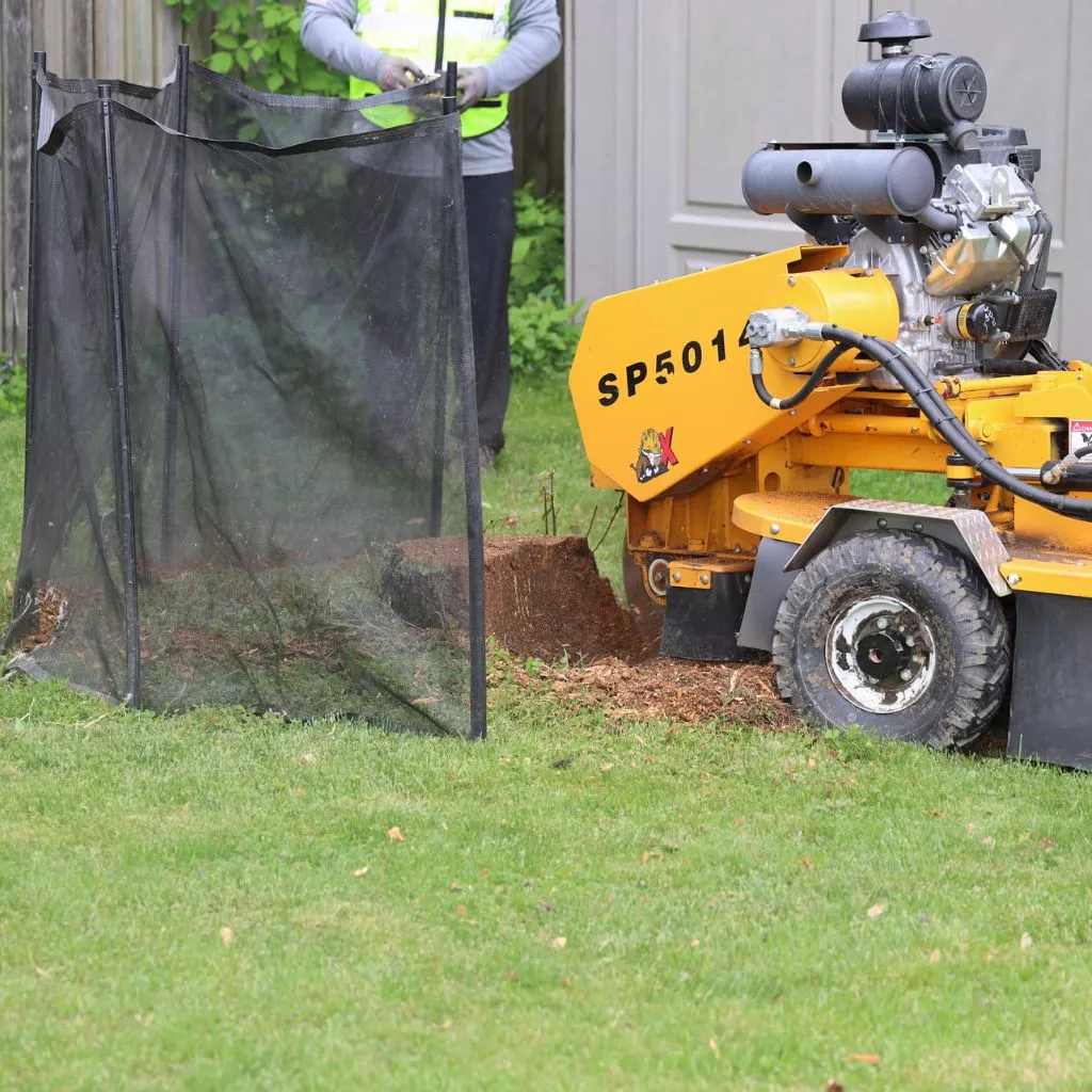 Stump Grinding Done Right