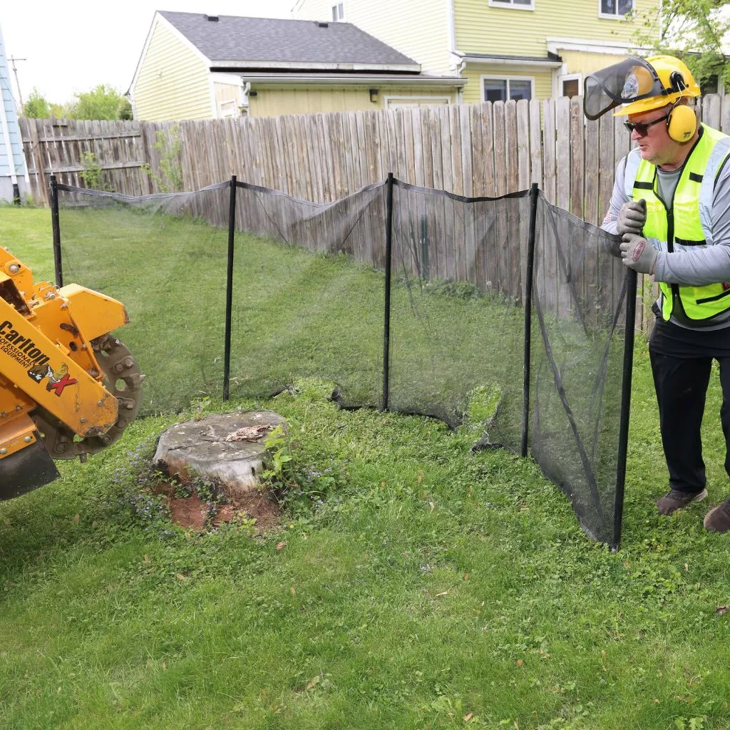 stump grinding2